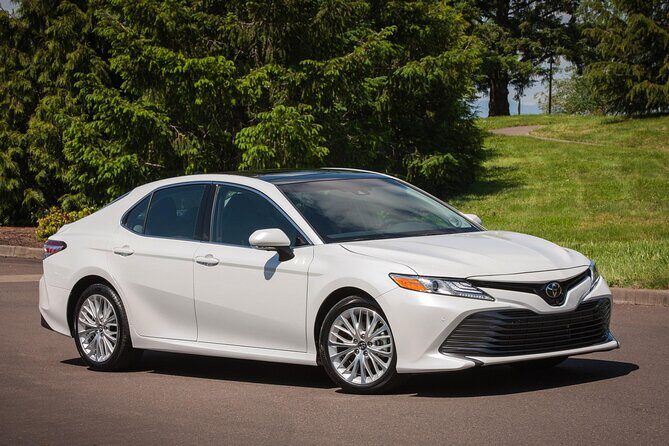 Private Sedan in Punta Cana Airport to Punta Cana Hotels - In-Depth Review of the Transfer from Punta Cana Airport to Hotels