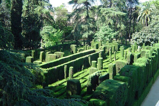 Private Sevilla Tour for families with children and teens... - An In-Depth Look at the Private Sevilla Tour