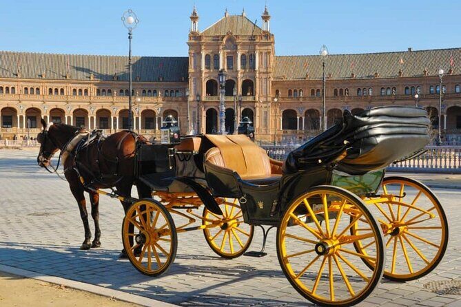 Private Sevilla Tour for families with children and teens... - Why This Tour Stands Out