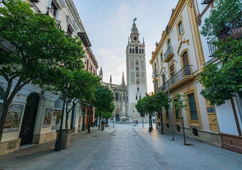 Private Seville: exclusive tour of Santa Cruz and the historic center - In-Depth Review of the Private Seville Tour