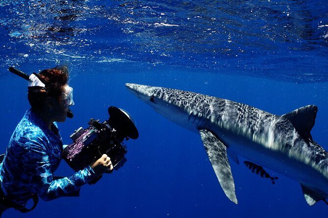 Private Shark Dive, Oahu, Hawaii (6 Guest) - Final Thoughts