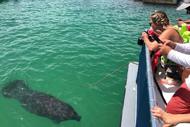 Private Shell Key Island Adventure Dolphins And Shells - A Detailed Look at the Shell Key Island Adventure