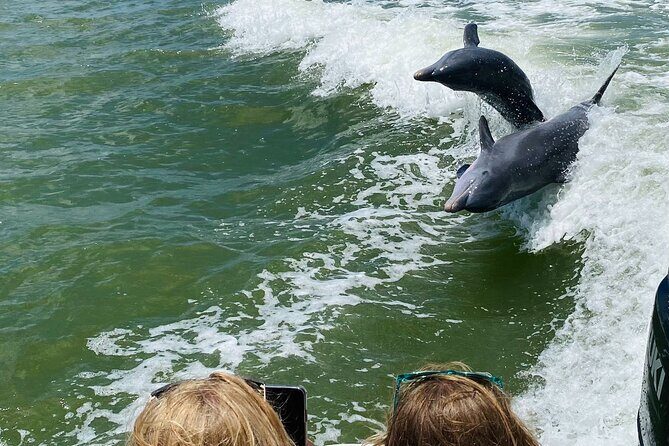 Private Shelling and Dolphin Excursion - Exploring the Details of the Shelling and Dolphin Tour