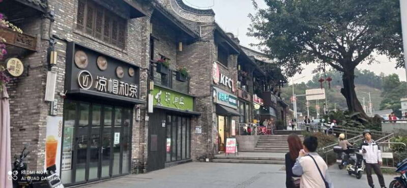 Private Shenzhen Day Tour from Hong Kong - Exploring the Shenzhen Experience: A Deep Dive