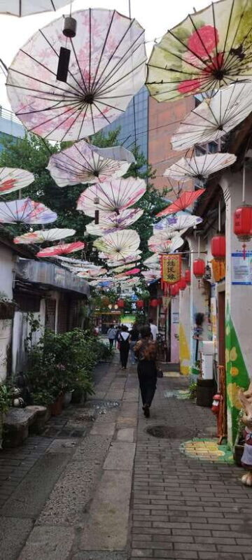 Private Shenzhen Day Tour from Hong Kong - FAQs