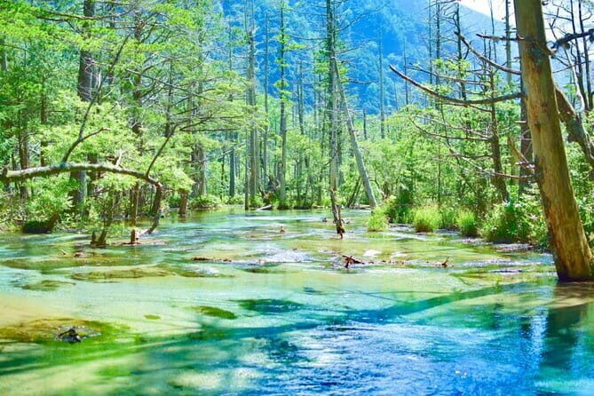 Private Shinhotaka Ropeway and Kamikochi Tour - Authentic Experiences and What Travelers Say