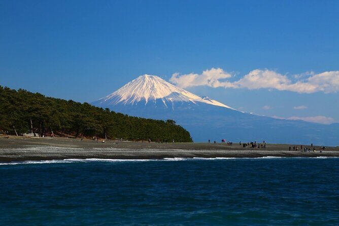 Private Shizuoka Tour from Shizuoka Station /Small Bus - Final Thoughts