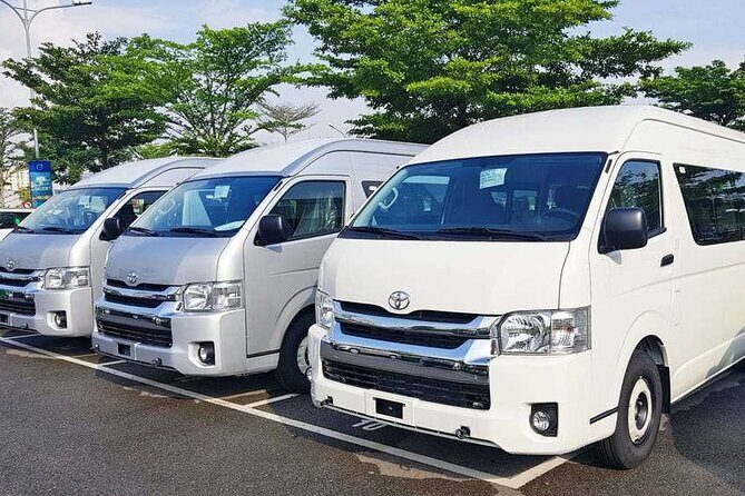 Private Shopping Tour from Sydney hotels to DFO Homebush - Key Points