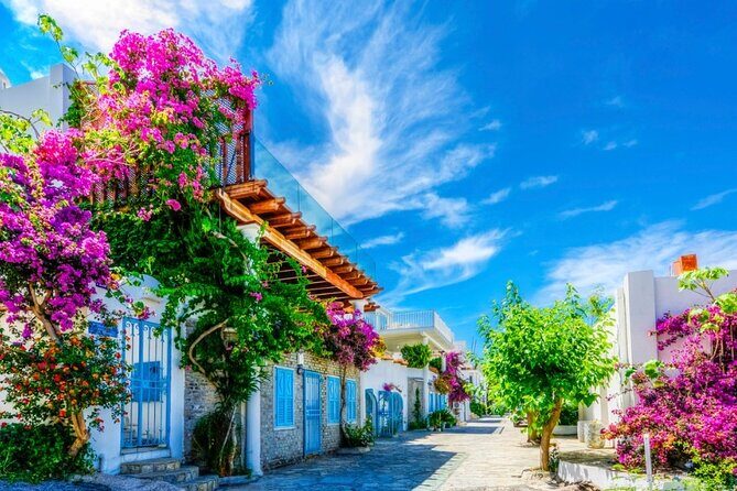 Private Shopping Tour in Bodrum city - The Practical Aspects: What You Need to Know