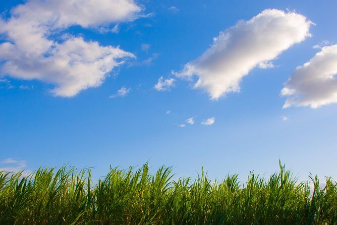 Private Shore Excursion: Best Highlights of Maui - FAQs