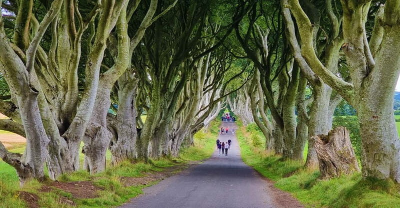 Private Shore Excursion From Belfast Cruise Terminal - What to Expect and Practical Tips