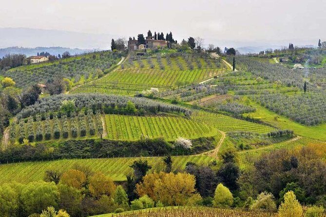 Private Shore Excursion from Livorno Port: Tuscany Highlights - Who Is This Tour Best For?