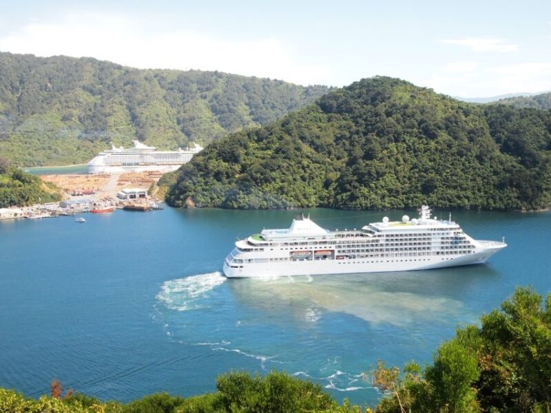 Private Shore Excursion from Picton: Marlborough Highlights - The Value of a Private, Flexible Experience