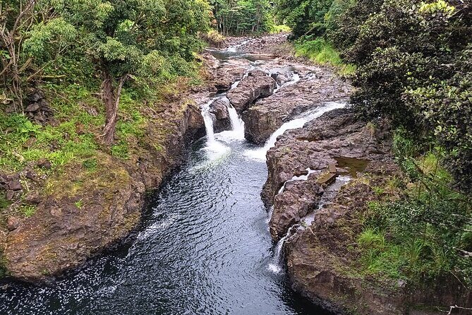 Private Shore Excursion Hilo Land of Frozen Fire up to 14 - Potential Drawbacks