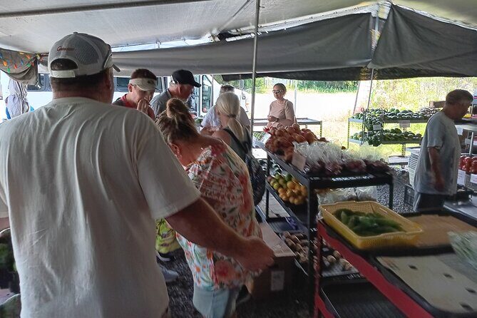 Private Shore Excursion Hilo Land of Frozen Fire up to 14 - Who Is This Tour Best For?