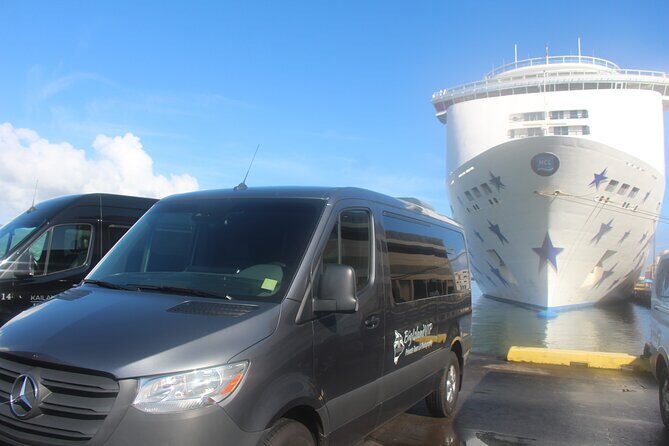 Private Shore Excursion Hilo Volcanoes National Park up to 10 PPL - Exploring the Big Island: A Detailed Review