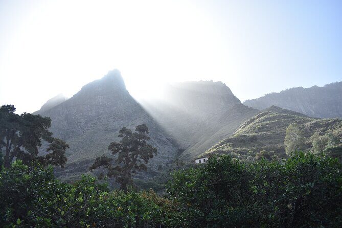 Private Shore Excursion in Gran Canaria - Exploring Gran Canaria: A Deep Dive into the Private Shore Excursion