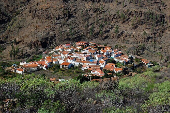 Private shore excursion in Gran Canaria the miniature continent - Key Points