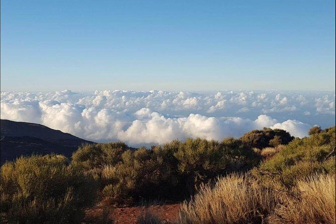 Private Shore Excursion in Tenerife from your Cruise Ship - In-Depth Look at the Itinerary