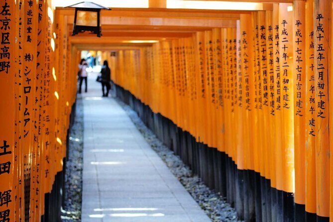 Private Shore Excursion: Kyoto highlights from Osaka/Kobe Port - Key Points