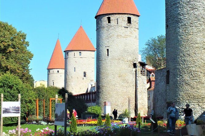 Private Shore Excursion: Tallinn Old Town Walking Tour with Round-Trip Transfer - Tailored Itinerary and Highlights