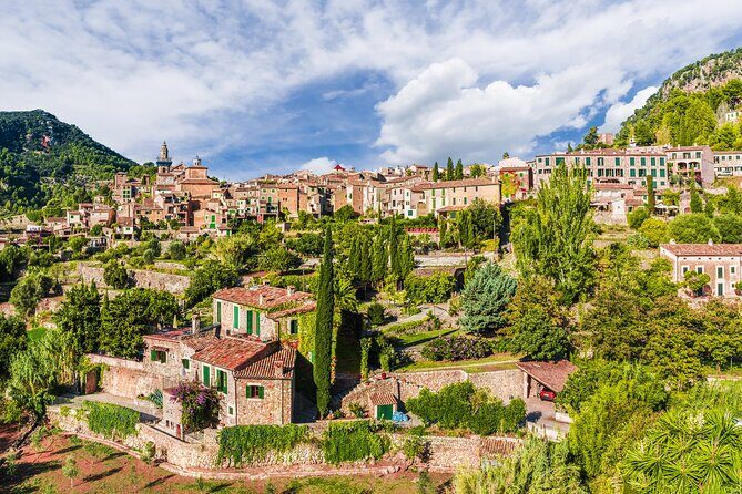 Private Shore Excursion to Valldemossa and Palma de Mallorca - A Deep Dive into the Experience