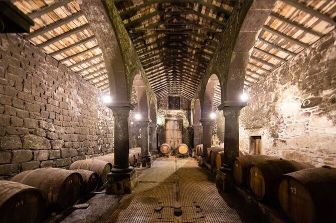 Private Shore Tour Galicia South Atlantic Coast, Portugal &Wine - What Makes This Tour Truly Stand Out