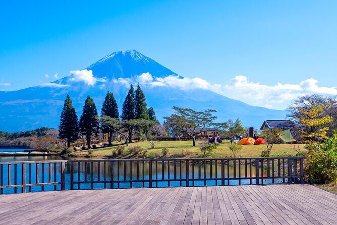 Private Shore Tour: Mt. Fuji Highlights from Shimizu Port - What to Expect from This Tour