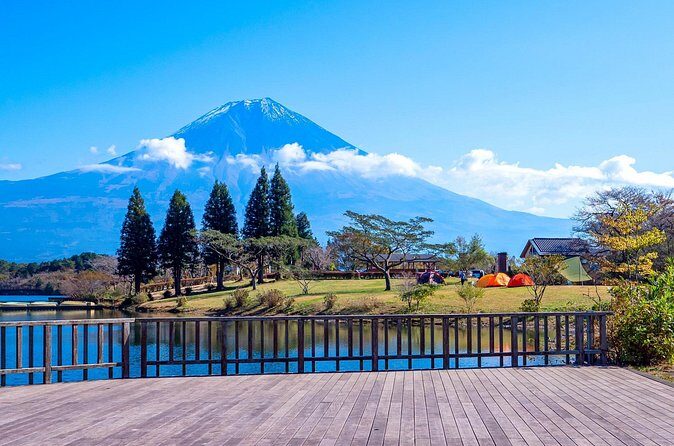 Private Shore Tour: Mt. Fuji Highlights from Shimizu Port - Who Should Consider This Tour?