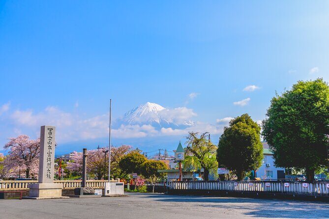 Private Shore Tour: Mt. Fuji Highlights from Shimizu Port - The Sum Up