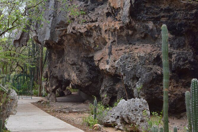 Private Shore Tour of Hato Cave - A Deep Dive into Curacao’s Best-Kept Secrets