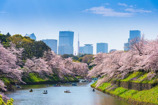 Private Shore Tour: Tokyo Highlights & Hidden Gems - The Sum Up: Is This Tour Right for You?