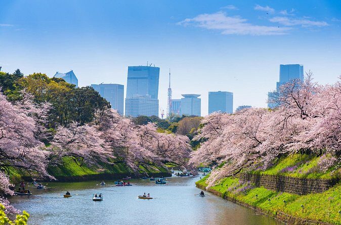 Private Shore Tour: Tokyo Highlights & Hidden Gems - FAQs