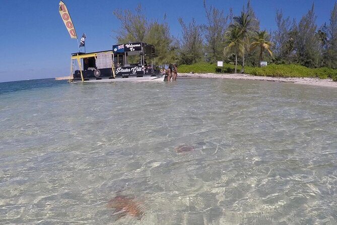 Private Short Tour to Stingray City and Local Welcome Drink - Exploring the Tour in Detail