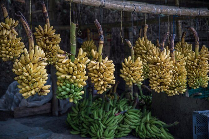 Private Shuttle Cuenca to/from Guayaquil - Why This Shuttle Is a Great Value