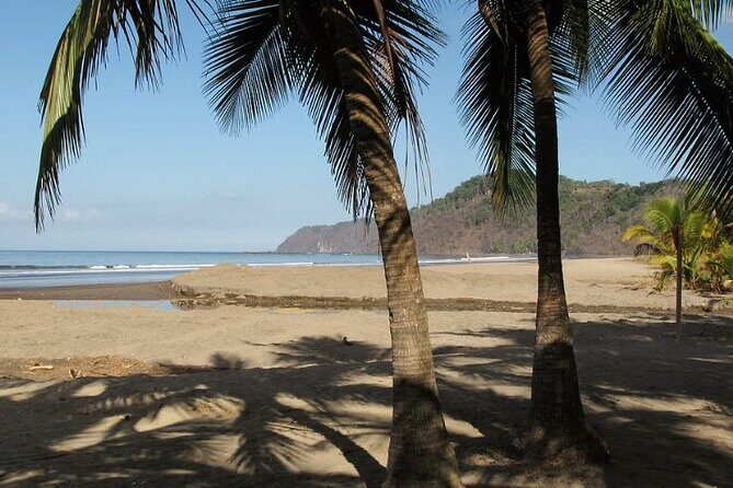 Private Shuttle From San Jose Airport To Jaco Beach Hotels - Final Thoughts: Who Should Book This Transfer?