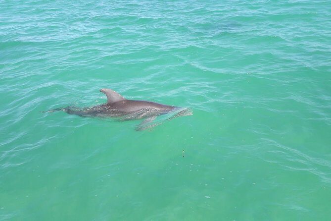 Private Sian Kaan Biosphere Tour - Key Points