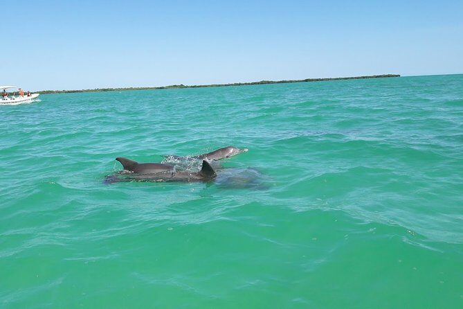 Private Sian Kaan Biosphere Tour - Frequently Asked Questions