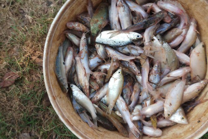 Private Siem Reap Quad Bike Adventure - Key Points