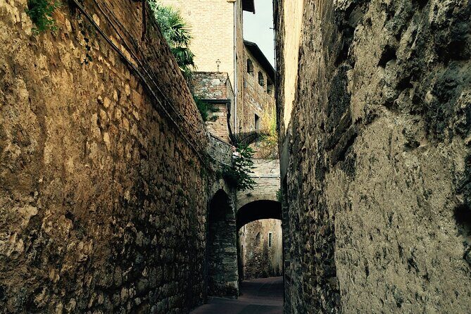 Private Siena and San Gimignano Tour with Wine Tasting From Rome - An In-Depth Look at the Private Siena and San Gimignano Tour