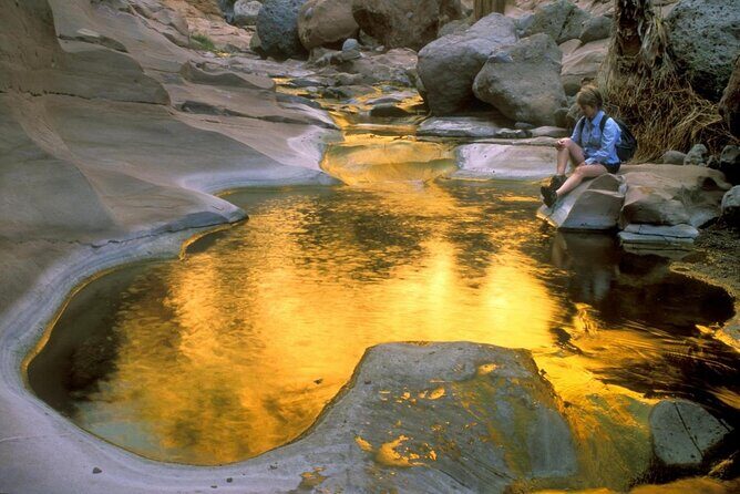 PRIVATE Sierra de Laguna Hiking & Natural Water Swim Waterfall - Exploring Sierra de la Laguna: A Genuine Outback Adventure from Cabo San Lucas