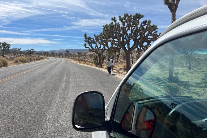 Private Sightseeing Adventure Tour of Joshua Tree National Park - Key Points