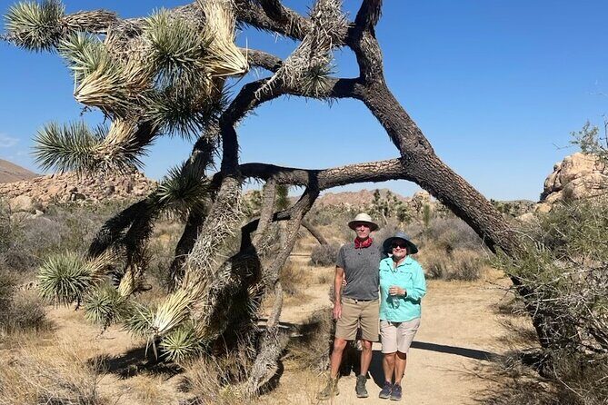 Private Sightseeing Adventure Tour of Joshua Tree National Park - Final Thoughts
