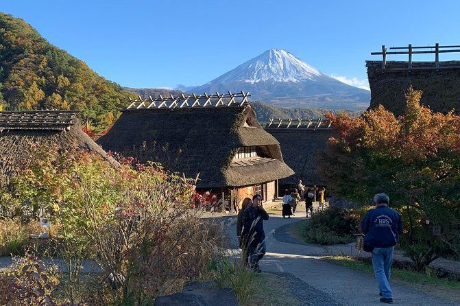 Private Sightseeing to Mt. Fuji and Hakone GREEN NUMBER PLATES - Exploring the Details: A Full Review