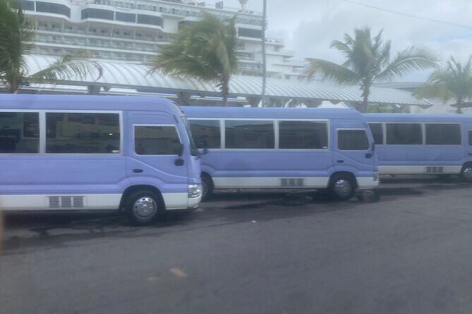 Private Sightseeing Tour Around Nassau by Bus - A Practical, Authentic Look at the Nassau Private Bus Tour