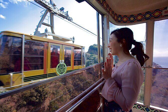 Private Sightseeing Tour from Shimizu Port / Sedan Taxi - FAQs