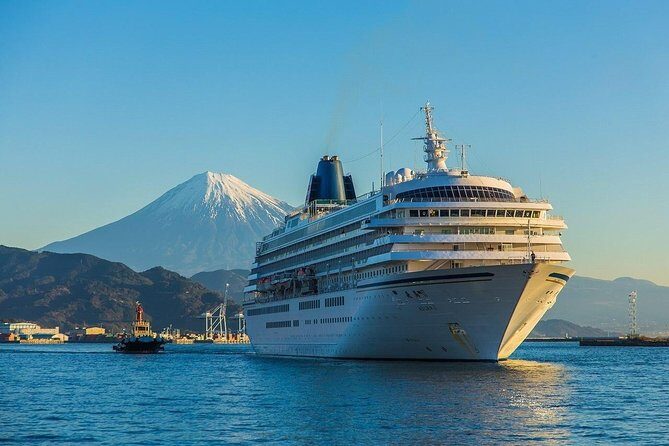 Private sightseeing tour from Shimizu Port / Van Taxi - In-Depth Look at the Itinerary