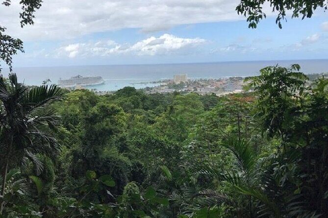 Private Sightseeing Tour in & Around Ocho Rios - A Closer Look at the Itinerary
