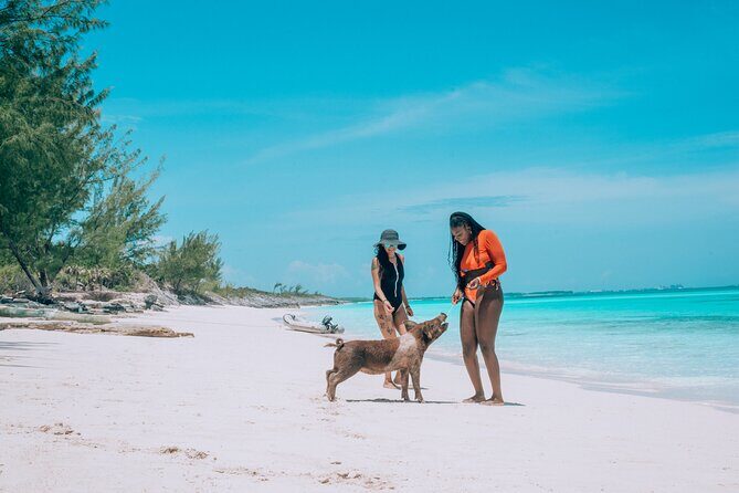 Private Sightseeing Tour in Nassau with Lunch - Exploring the Details: What to Expect on This Nassau Tour