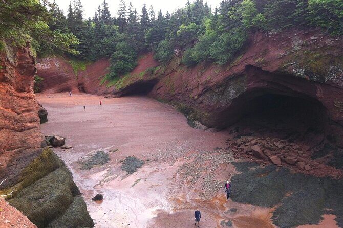 Private Sightseeing Tour In Saint John - Exploring Saint John: A Detailed Review of the Private Sightseeing Tour